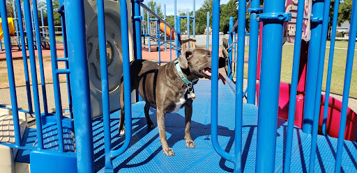 Park «Swift Cantrell Park», reviews and photos, 3140 Old 41 Hwy NW, Kennesaw, GA 30144, USA