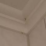 Photo n°2 de l'avis de Bianca.l fait le 12/08/2018 à 20:24 sur le  Hotel Milano à Hildesheim