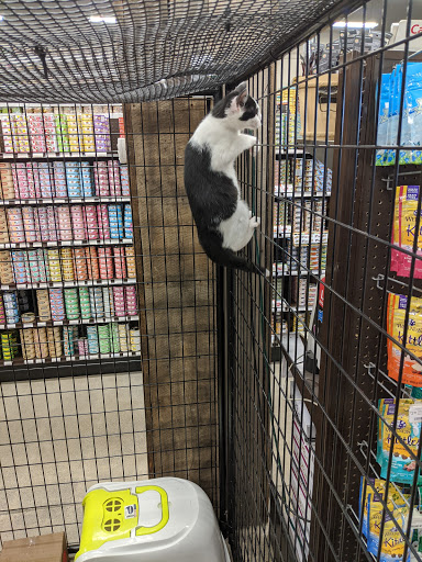 Pet Supply Store «Premier Pet Supply», reviews and photos, 15399 Merriman Rd, Livonia, MI 48154, USA