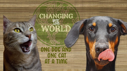 Pet Supply Store «All The Best Pet Care», reviews and photos, 3037 78th Ave SE, Mercer Island, WA 98040, USA