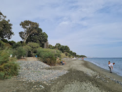Photo de Dasoudi Beach - endroit populaire parmi les connaisseurs de la détente