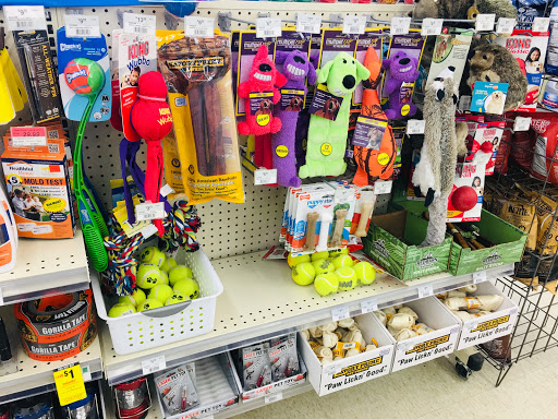 Hardware Store «Great Lakes Ace Hardware», reviews and photos, 44441 Ann Arbor Rd, Plymouth, MI 48170, USA