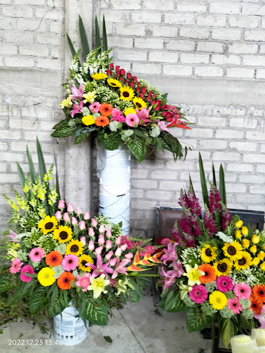 Florería elizabeth – Salvatierra