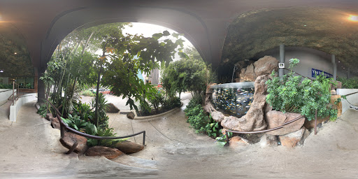 Aquarium «The Dallas World Aquarium», reviews and photos, 1801 N Griffin St, Dallas, TX 75202, USA