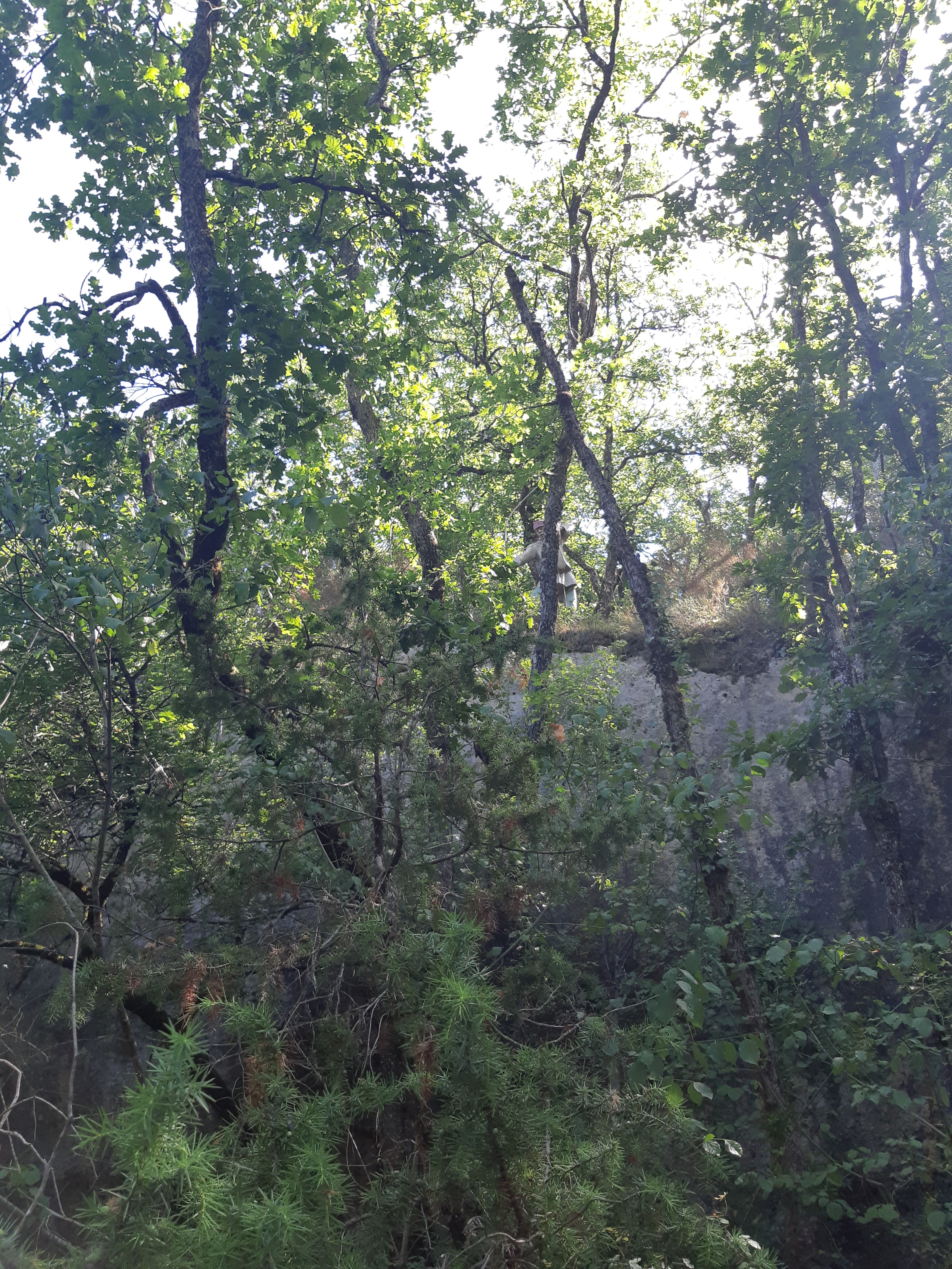 Photo n° 49 de l'avis de Pamela.e fait le 26/07/2018 à 11:23