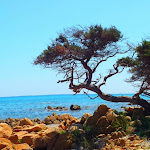 Photo n°3 de l'avis de Roberto.a fait le 23/07/2019 à 17:57 sur le  Due Lune Puntaldia Resort & Golf à San Teodoro