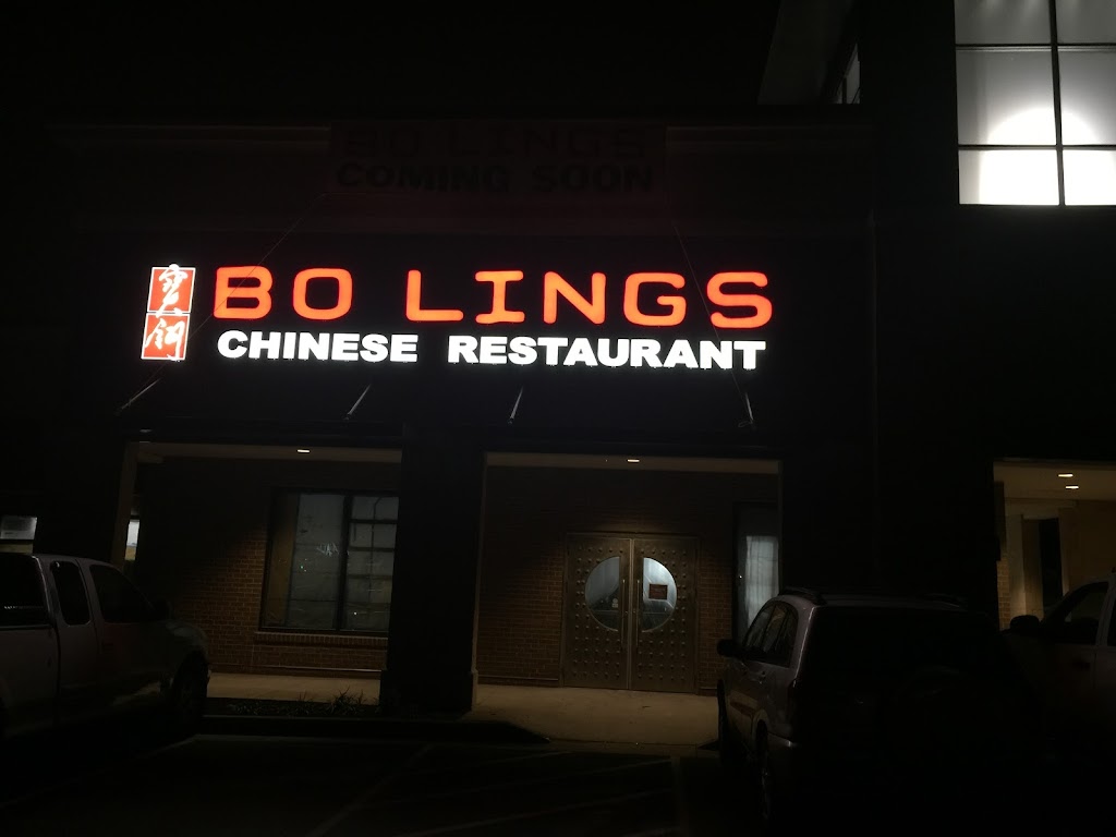 Bo Lings 66212