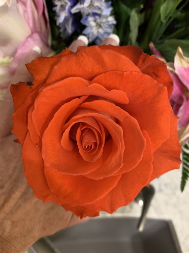 Florist «Flowers Today Florist», reviews and photos, 5106 Trouble Creek Rd, New Port Richey, FL 34652, USA