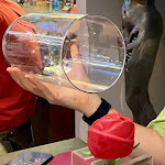 Photo n°3 de l'avis de Stella.a fait le 11/07/2023 à 15:12 sur le  Movie Restaurant à Rome