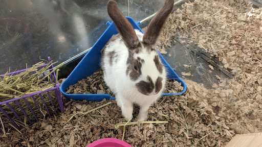 Pet Store «Market Street PET DEPOT», reviews and photos, 2979 S Market St, Gilbert, AZ 85295, USA