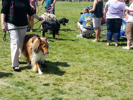 Community Center «Dunedin Community Center», reviews and photos, 1920 Pinehurst Rd, Dunedin, FL 34698, USA