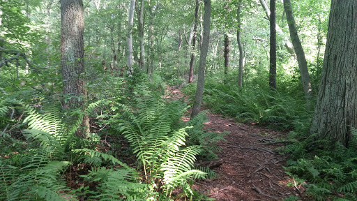 Park «Mansfield Park», reviews and photos, 85 Walker St, Massapequa Park, NY 11762, USA