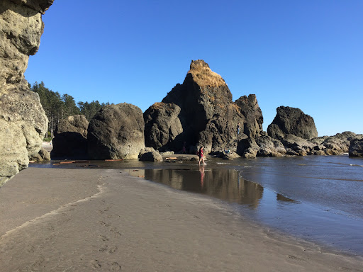 National Park «Olympic National Park», reviews and photos