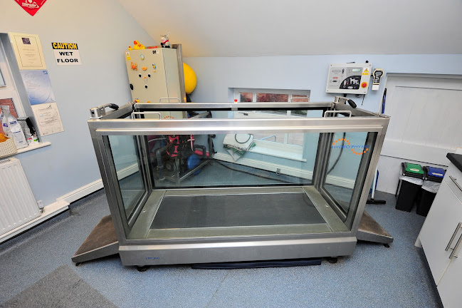 Severn Veterinary Centre and Hydrotherapy Suite - Veterinarian