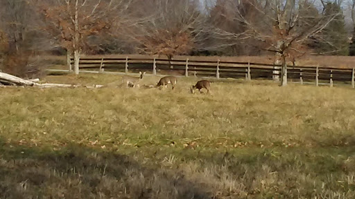 State Park «Bellevue State Park», reviews and photos, 800 Carr Rd, Wilmington, DE 19809, USA