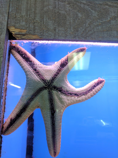 Tropical Fish Store «Aquatouch», reviews and photos, 12040 N 32nd St, Phoenix, AZ 85028, USA