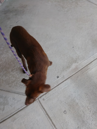 Pet Supply Store «Petco Animal Supplies», reviews and photos, 300 Quaker Ln #3, Warwick, RI 02886, USA