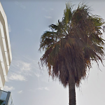 Photo n°7 de l'avis de alessio.o fait le 14/02/2018 à 09:33 sur le  Hotel Sea Lion à Montesilvano