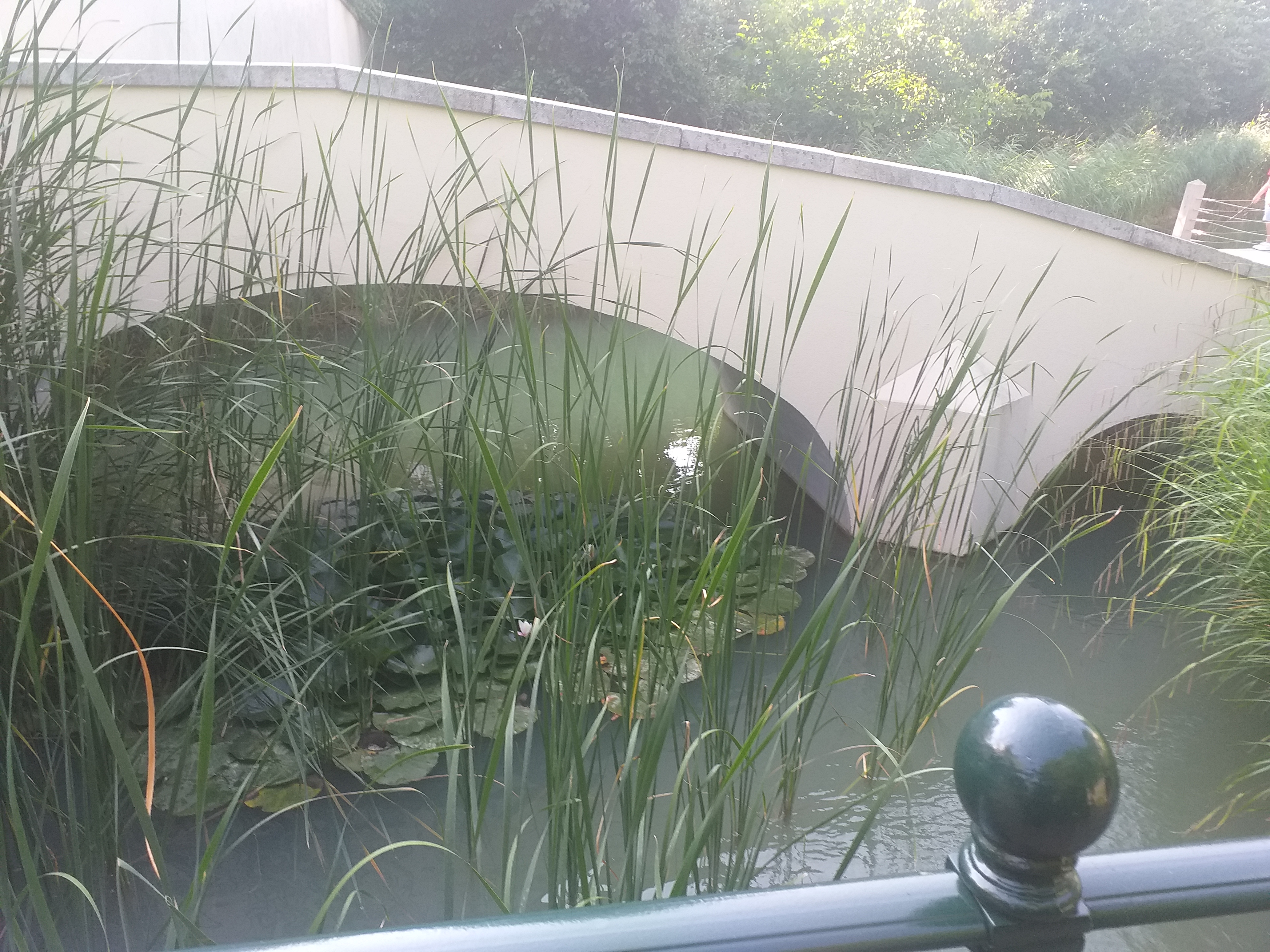 Photo n° 4 de l'avis de DELBARRE.R fait le 22/03/2023 à 14:13