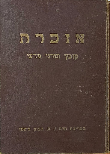 אור הגנוז