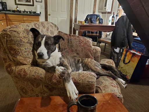 Bed & Breakfast «Inn at Lake Joseph», reviews and photos, 162 St Josephs Rd, Forestburgh, NY 12777, USA