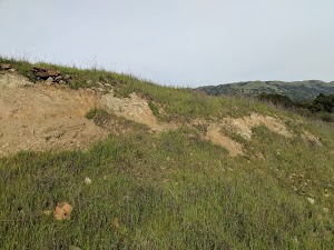 Rosendin Park - photo 7