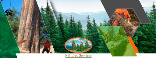 FB Tree Services