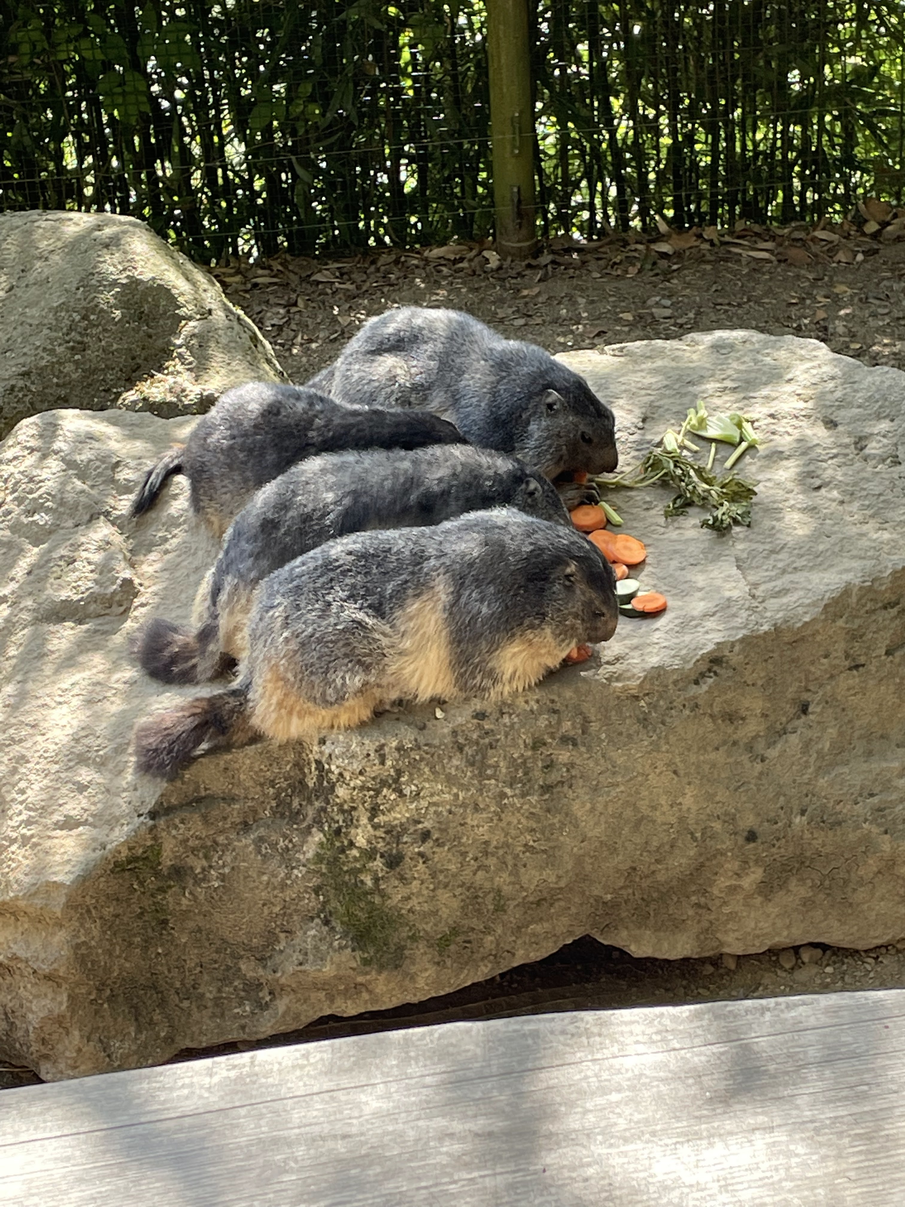 Photo n° 5 de l'avis de La.i fait le 25/08/2022 à 14:34