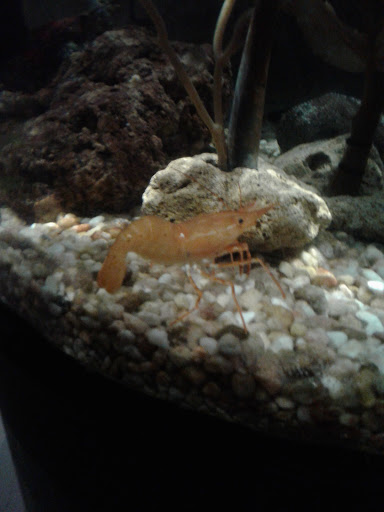 Pet Supply Store «Petco Animal Supplies», reviews and photos, 4950 S 76th St, Greenfield, WI 53220, USA