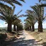 Photo n°2 de l'avis de vito.q fait le 18/06/2017 à 17:04 sur le  Grand Hotel Masseria Saint Lucia à Ostuni Marina, Ostuni