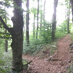 Photo n°6 de l'avis de carmine.r fait le 08/05/2017 à 07:46 sur le  Agriturismo Falode à Castello del Matese