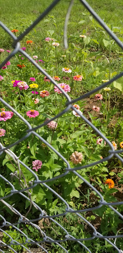 Tobacco Shop «Capitol Smoke», reviews and photos, 215 W Martin St, Raleigh, NC 27601, USA