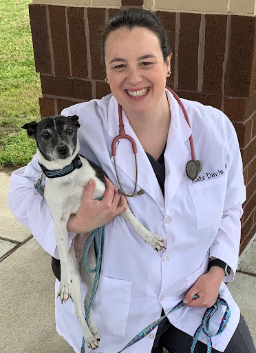 Aardvark Animal Hospital image