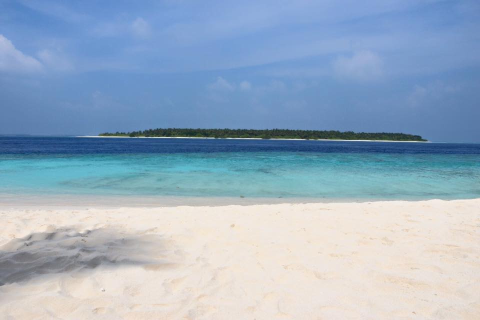 Zdjęcie Guest Beach położony w naturalnym obszarze