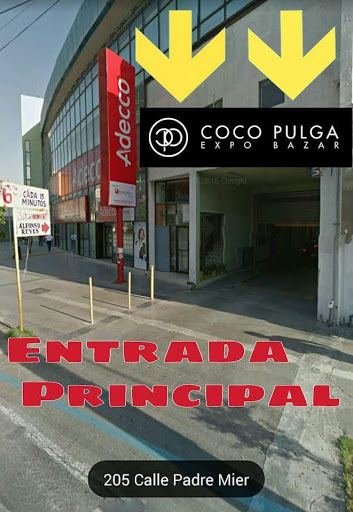 Coco Pulga