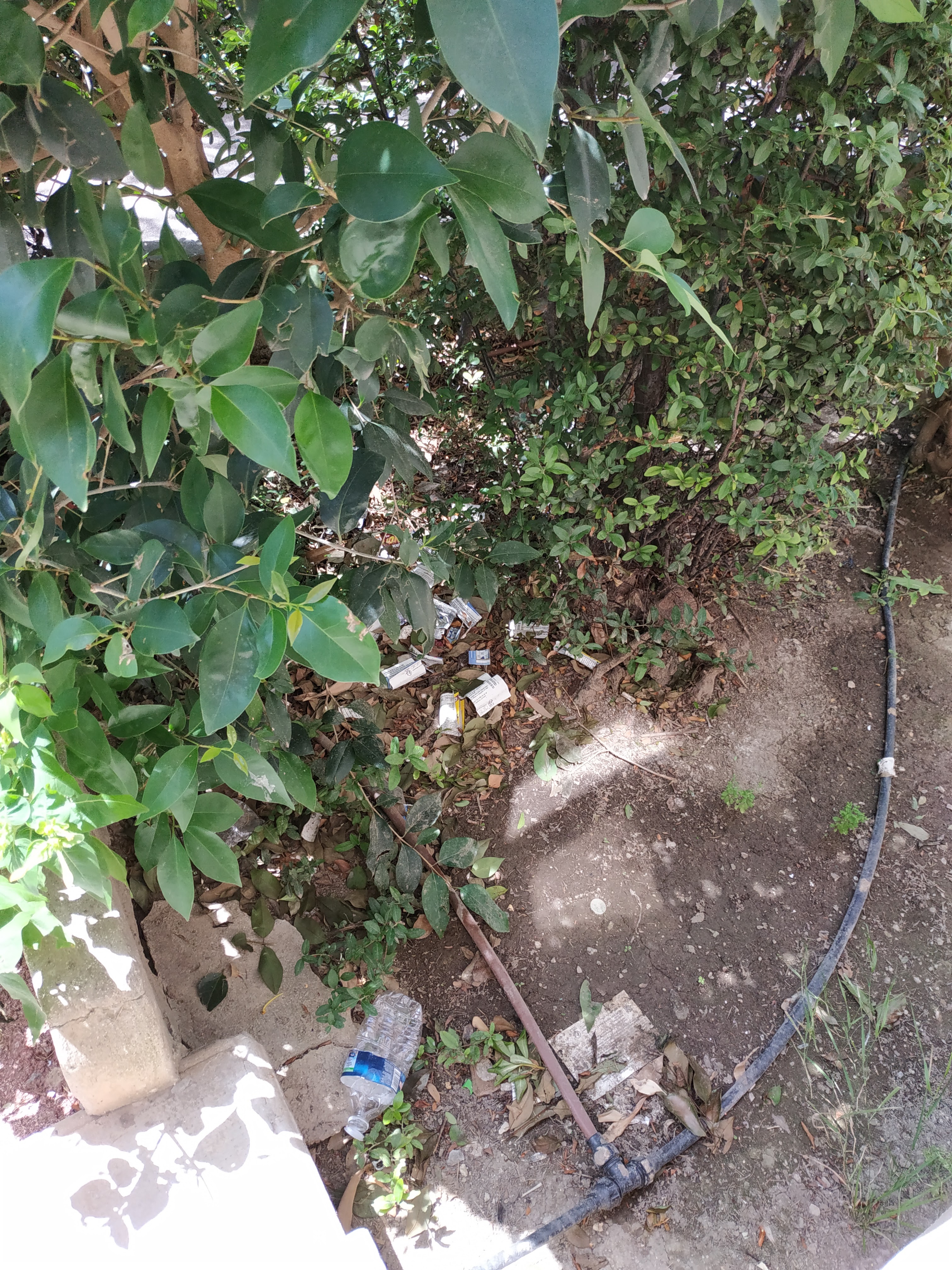 Photo n° 13 de l'avis de Caille. fait le 21/09/2020 à 16:23
