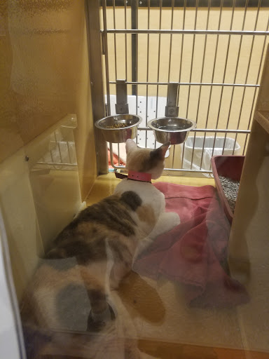 Pet Supply Store «PetSmart», reviews and photos, 7177 SE 29th St, Midwest City, OK 73110, USA