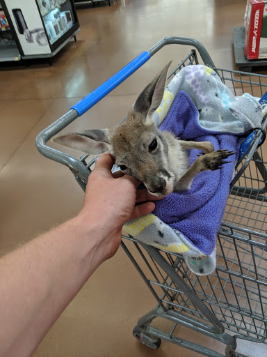 Department Store «Walmart Supercenter», reviews and photos, 2687 N Memorial Dr, Lancaster, OH 43130, USA