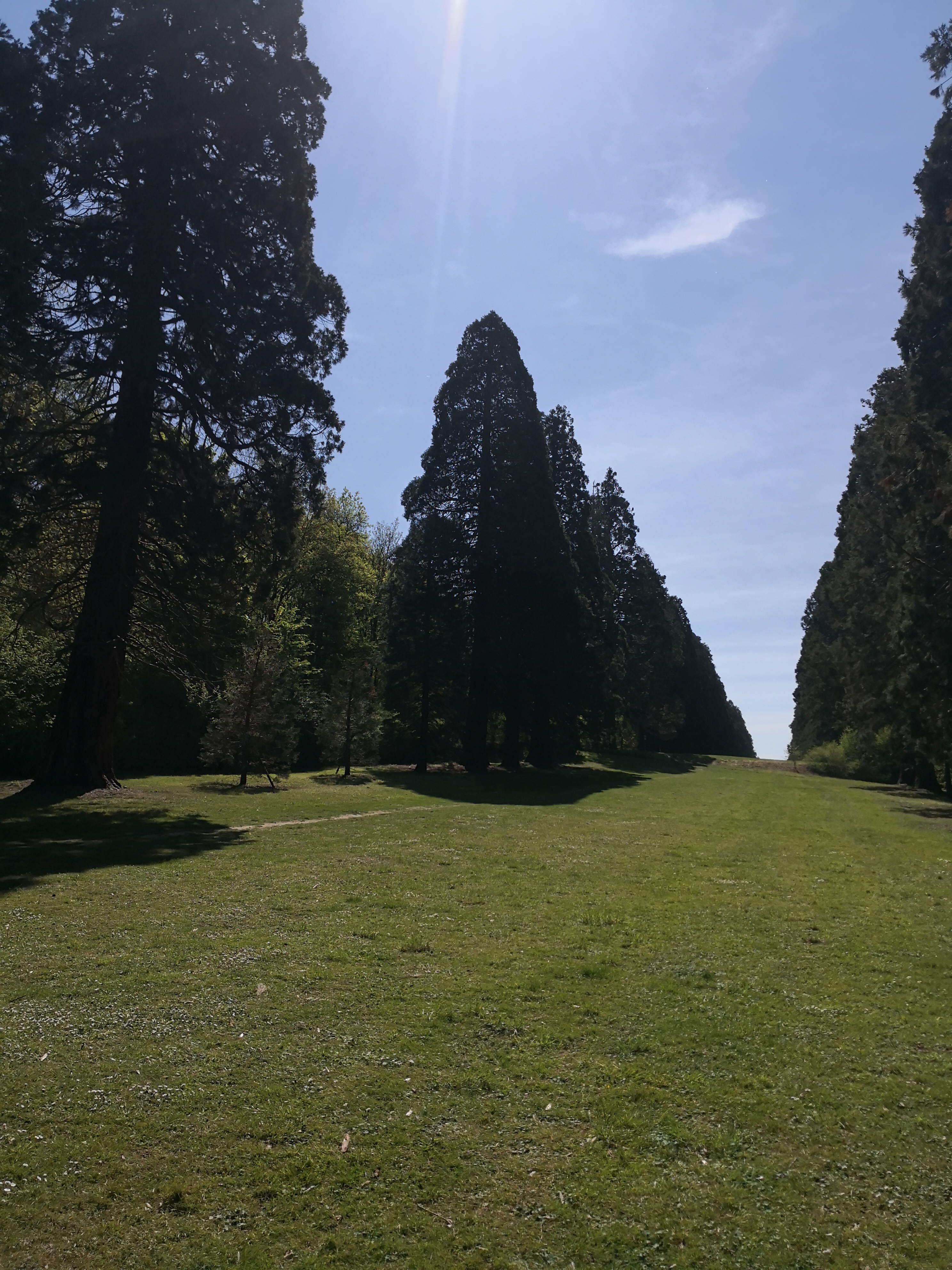 Photo n° 1 de l'avis de Julien.a fait le 25/04/2021 à 17:35