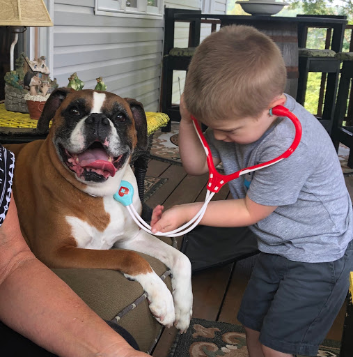 Divine Veterinary Clinic image