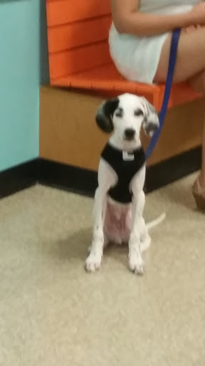 Pet Supply Store «PetSmart», reviews and photos, 13866 Metrotech Dr, Chantilly, VA 20151, USA