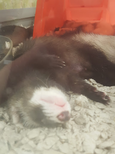 Pet Supply Store «Petco Animal Supplies», reviews and photos, 1680 Campbell Ln, Bowling Green, KY 42104, USA