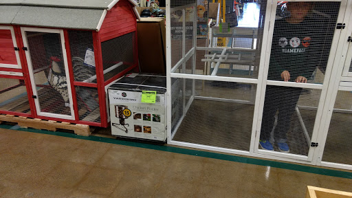 Supermarket «ALDI», reviews and photos, 1243 E Ash St #100, Piqua, OH 45356, USA