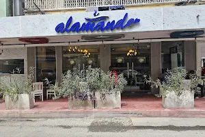 Salamander Café image