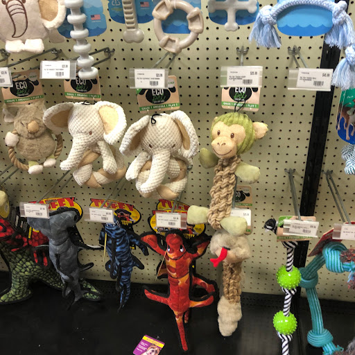 Pet Store «Choice Pet Market», reviews and photos, 2915 W Ray Rd, Chandler, AZ 85224, USA