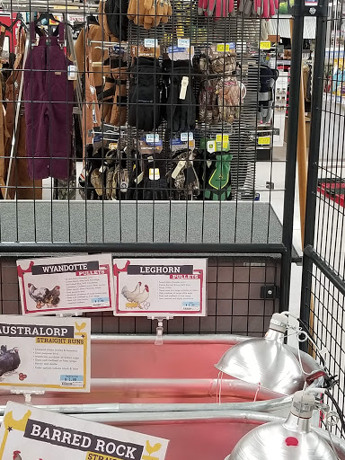 Home Improvement Store «Tractor Supply Co.», reviews and photos, 154 Vestal Pkwy W, Vestal, NY 13850, USA