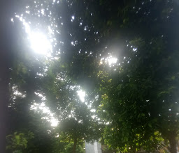 Taman Rawasari photo