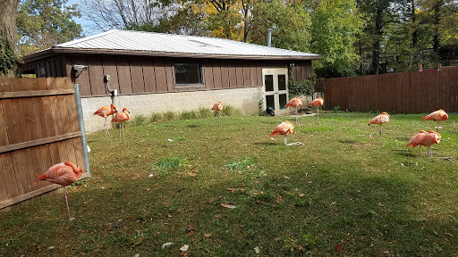 Zoo «Potawatomi Zoo», reviews and photos, 500 S Greenlawn Ave, South Bend, IN 46615, USA