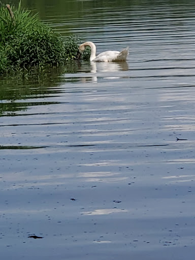 Park «Red Bridge Park», reviews and photos, 697 W Jackson St, Cicero, IN 46034, USA