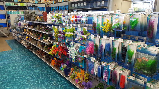 Pet Supply Store «Petco Animal Supplies», reviews and photos, 9078 SE Sunnyside Rd, Clackamas, OR 97015, USA